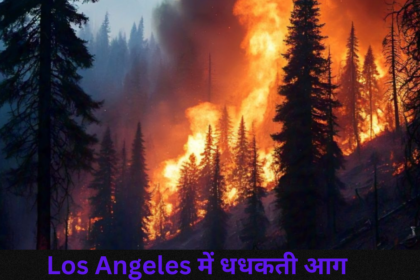 Los Angeles में धधकती आग