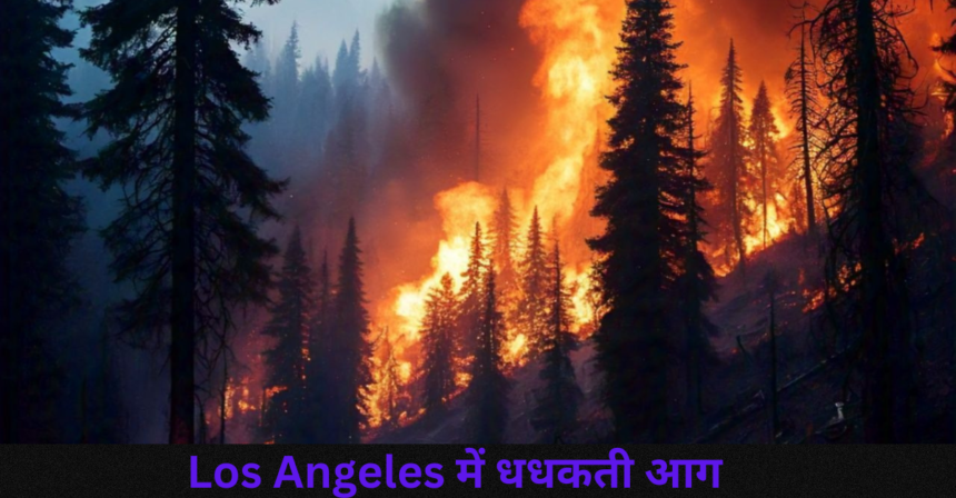 Los Angeles में धधकती आग