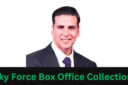 sky force box office collection