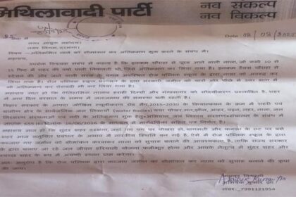 Mithilawadi Party