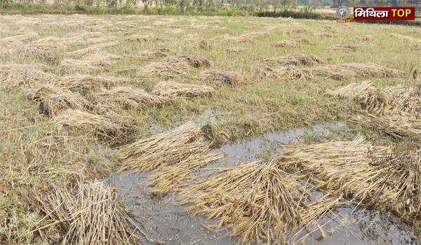 मधुबनी में भारी बारिश