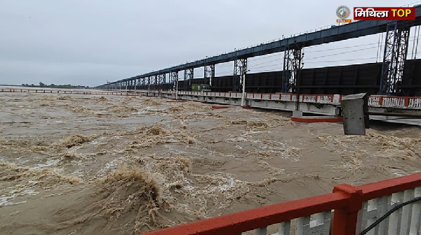 कोसी के जलस्तर में भारी बारिश के कारण बाढ़ जैसे हालात , सुपौल और सहरसा में हाई अलर्ट जारी