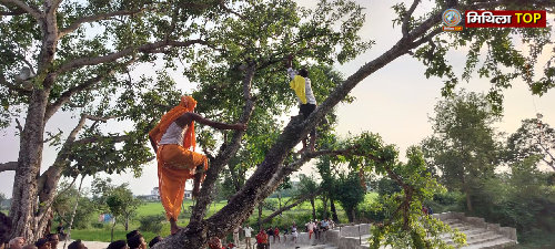 Darbhanga News: अलीनगर के पिरहौली गांव में दुर्गा पूजा षष्ठी बेल नौती कार्यक्रम संपन्न