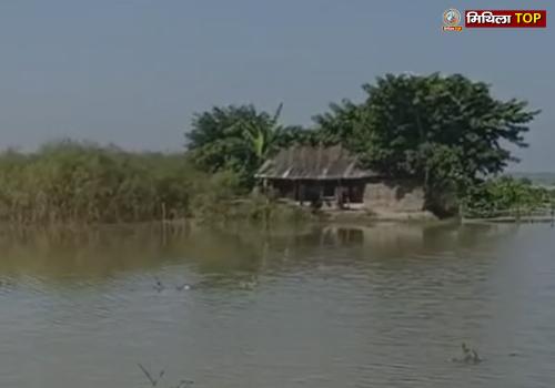 Darbhanga News: बाढ़ ने हनुमान नगर प्रखंड में मचाई तबाही, किसानों की लाखों की फसल डूबी
