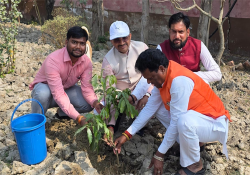 दरभंगा में रौनक सराफ ने जन्मदिन पर लगाया पौधा, पर्यावरण संरक्षण का दिया संदेश