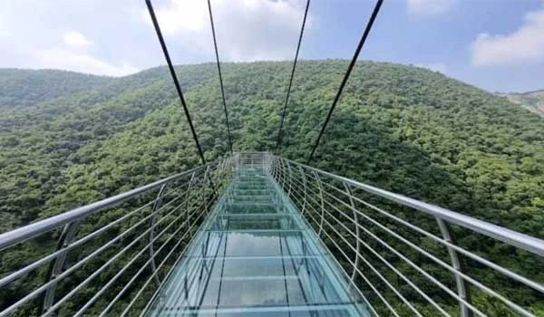 राजगीर नेचर सफारी अस्थायी रूप से बंद, जानिए कब तक नहीं मिलेगी एंट्री