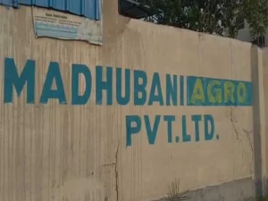 Madhubani News: मधुबनी एग्रो प्राइवेट लिमिटेड में भारी तबाही, अनाज और मशीनें बर्बाद
