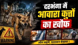 दरभंगा में आवारा कुत्तों का खौफ, 12 साल की बच्ची को नोच-नोचकर मार डाला