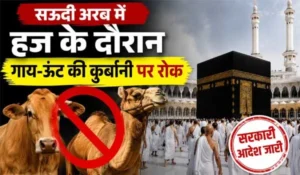 Qurbani Rules Saudi Arabia: सऊदी अरब में हज के दौरान गाय-ऊंट की कुर्बानी पर रोक, जानिए नया नियम