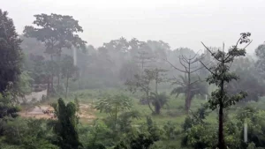 Jharkhand Weather Update: झारखंड में झमाझम बारिश, तापमान में भारी गिरावट