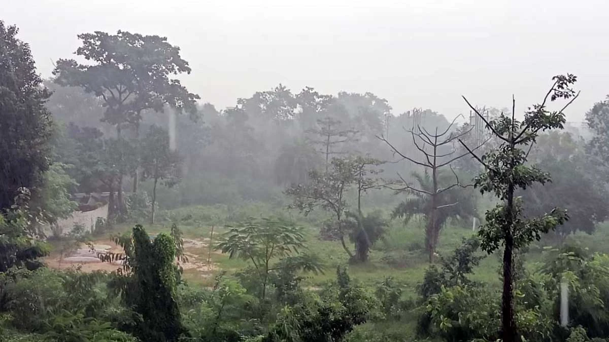 Jharkhand Weather Update: झारखंड में झमाझम बारिश, तापमान में भारी गिरावट