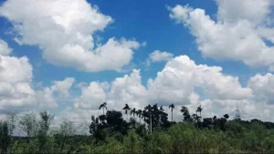 Bihar Weather Update: Severe heat wave continues in Bihar today, IMD issues alert