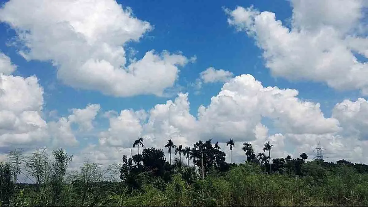 Bihar Weather Update: Severe heat wave continues in Bihar today, IMD issues alert