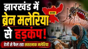 Brain Malaria: Panic in Potka, Jharkhand due to brain malaria; know the symptoms.