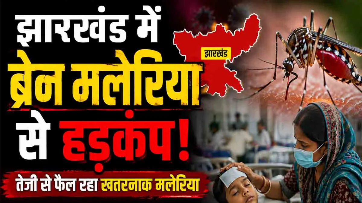 Brain Malaria: Panic in Potka, Jharkhand due to brain malaria; know the symptoms.