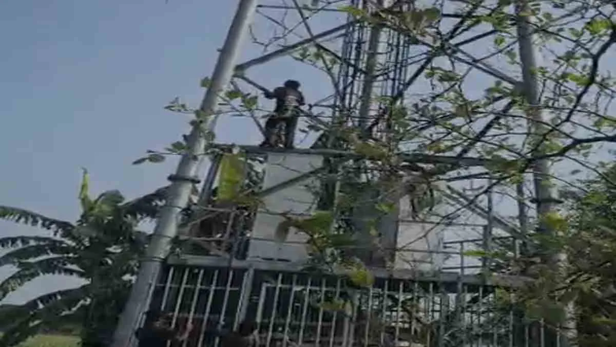Darbhanga Viral News: Boyfriend refuses to meet, girlfriend climbs tower