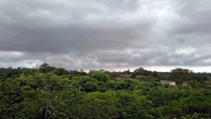 Jharkhand Mausam Samachar: Weather in Jharkhand to change from June 12; alert issued for these districts.