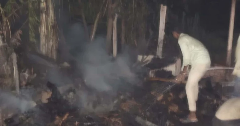 Alinagar Fire New: अलीनगर में देखते ही देखते जल गया मवेशी घर, 7 पशुओं की मौत