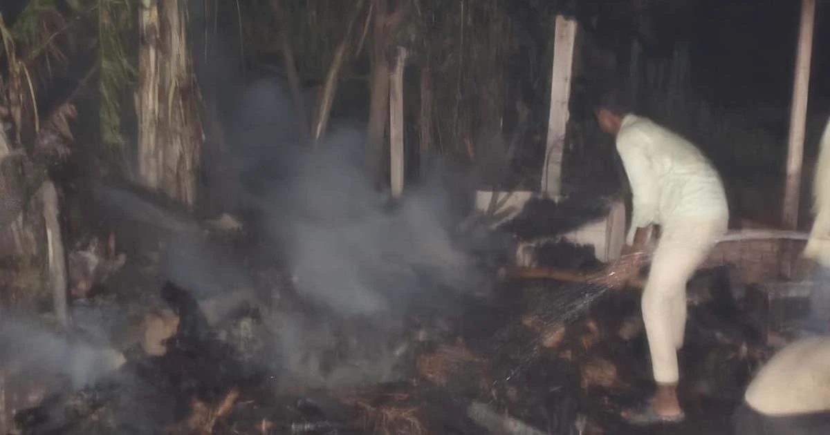 Alinagar Fire New अलीनगर में देखते ही देखते जल गया मवेशी घर, 7 पशुओं की मौत