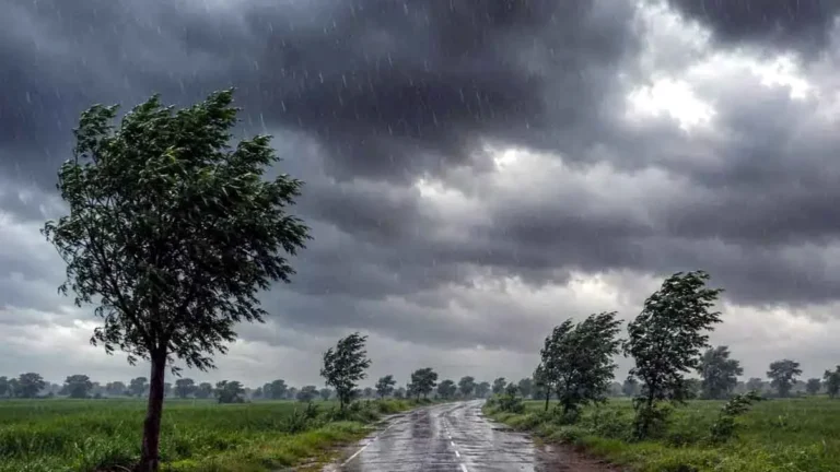 Bihar Mausam Samachar: बिहार में 7 अगस्त तक 33 जिलों में बारिश का अलर्ट