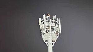 Mobile Tower Incident: Youth climbs mobile tower amidst JPSC protest.