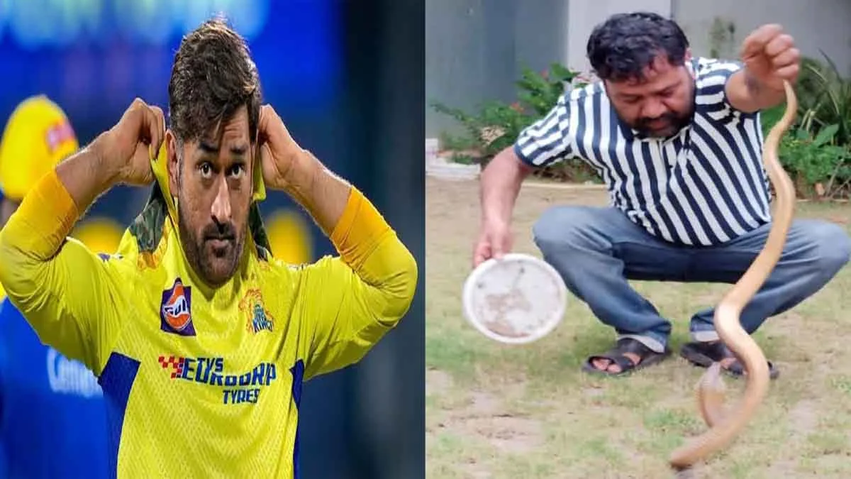 Snake Rescue Ranchi: धोनी के फार्म हाउस में घुसा 18 साल का कोबरा, जंगल में छोड़ा गया